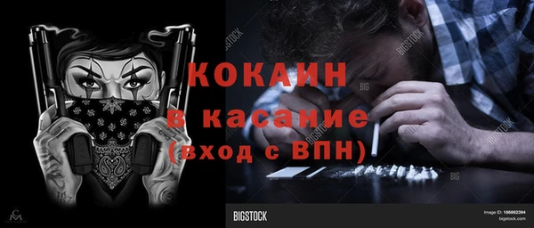 шишки Алексеевка