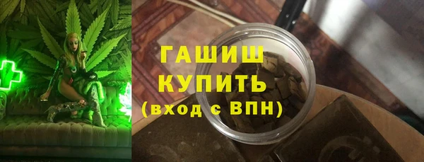 хмурый Алексин