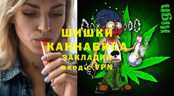 шишки Алексеевка