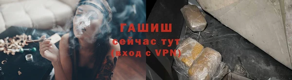 хмурый Алексин