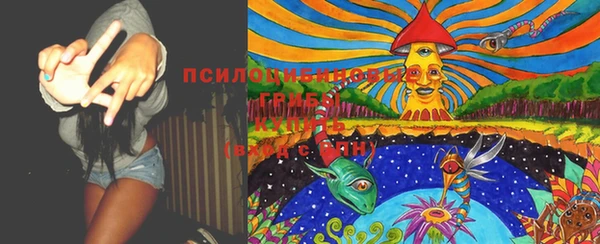 хмурый Алексин