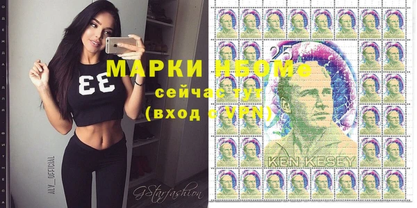 хмурый Алексин