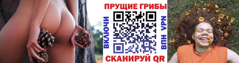 Галлюциногенные грибы мухоморы  darknet телеграм  Зеленоградск 